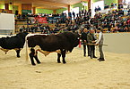 IMG 3703