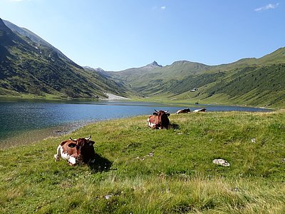 @Maria Hausbacher, Pächterin Tappenkarseealm