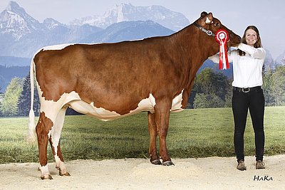 Rassechampion bei den Kalbinnen - MELLY (V.Loris) von Maria Schmiderer, Vorderkasbichl in Saalfelden