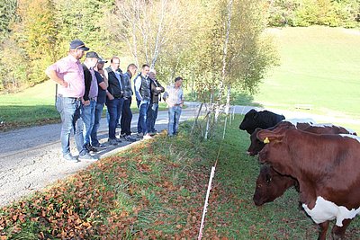Perfekter Abschluss am Bichlhof in Marktschellenberg