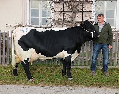 Ein schöner Blickfang - IMLAU (V.Marmor) von Anni u. Sebastian Reiter, Kurzgrub, Pfarrwerfen