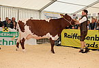 IMG 9951