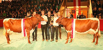 Pinzgauer Bundessieger 2015 - WEINDL (V.Rat) von Josef Edenhauser, Innergrub, Fieberbrunn und DOLLY (V.Rat) von Josef Berger, Grub, Saalbach