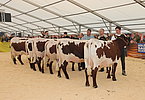 IMG 0988