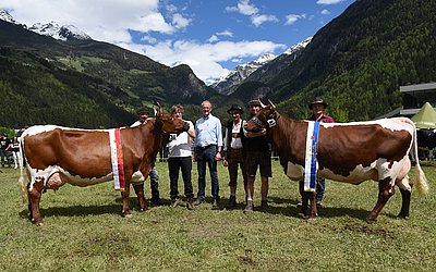 Hervorragende Siegerinnen aus Ahornach - Schausiegerin KATRIN (Lenktor x Titan) von Hermann Kirchler, Meraleiter und Eutersiegerin MAYA (Bison x Lotus) von Josef Ebenkofler, Oberpichler