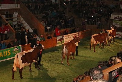 Ebenfalls exzellent bestückt - Pinzgauer x RF-Finale 2015