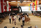 IMG 0736