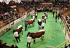 IMG 6801