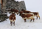 IMG 7745