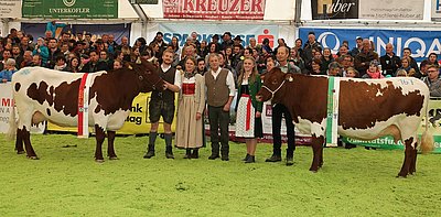 Pinzgauer-Gesamtsiegerin WOLK von Margarete u. Rupert Gruber, Reit und Reservesiegerin SUSI von Alois Andexer, Untergstadt