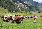 IMG 2057