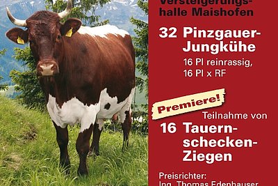 News Titelbild