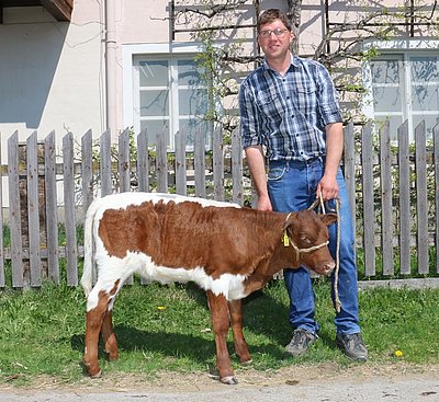 und LUREX x LOSER von Barbara Reitstätter, Hackl, Kössen