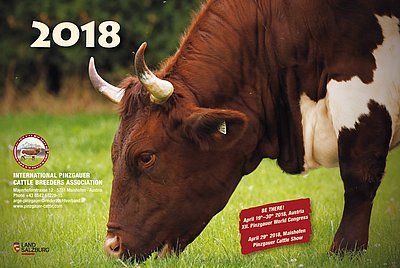 Internationaler Pinzgauer Kalender 2018