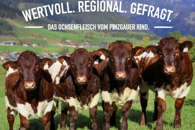 News Titelbild