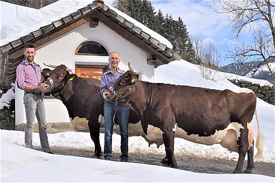 v.l. Gerhard und Jakob Unterhofer mit den beiden 100.000 kg-Kühen ERIKA (V.Rat) und SENNI (V.Lotus)