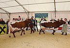 IMG 1425