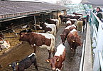 IMG 4702