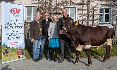 Ginster (Grimm x Fasan) - der 10. Ja! Natürlich-Stier, gezüchtet von Matthias Blaickner, Einöden, Mittersill