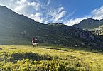 Nahezu majestätisch - der Anblick der schönen Pinzgauerinnen, die sich wunderbar einfügen in die traumhafte Landschaft!
