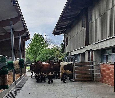 Angekommen in der neuen Heimat,