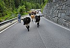 IMG-20240616-WA0015