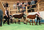 IMG 5839
