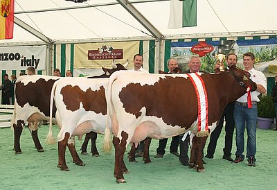 Matthäus Hochfilzer wurde für seine zweimalige DGP-Siegerin STOLZ (V.Mungo) der All Dairy Award überreicht!