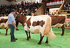 IMG 6806