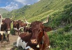 Gekommen, um zu bleiben - zumindest in diesen Tagen!