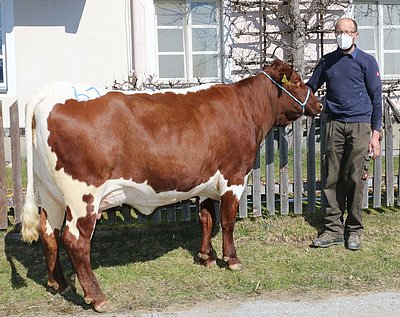 EMMI (V.Barroso) von Sigrid u. Josef Andexer, Unterbichl, Großarl