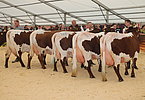 IMG 1191