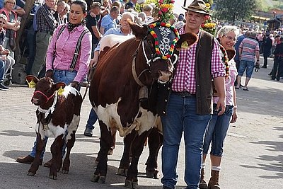 News Titelbild