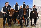 gruppe augustin