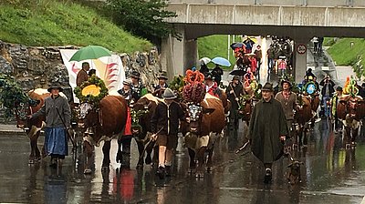 An solchen Tagen geht man freiwillig nicht unbedingt auf die Straße...