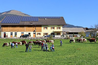 Schöner geht's nimmer - prächtige Farbkontraste am Unterhellwenghof in herrlicher Lage!