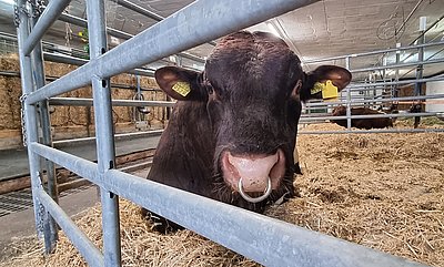 Franser scheint den Besuch auch zu genießen!