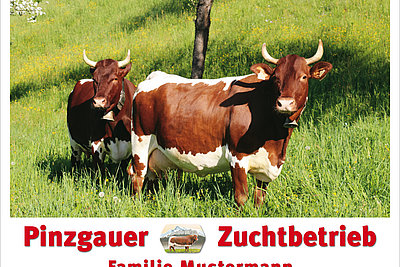 News Titelbild