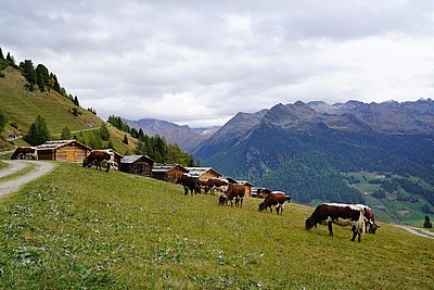 Rast auf einem himmlischen Flecken Erde - den sieben Hütten in Rein!