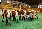 IMG 3195