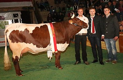 Jungkuh- u. Euterchampion 2015 - DORNE (V.Maltus) von Gerhard Innerhofer, Einödberg, Mittersill