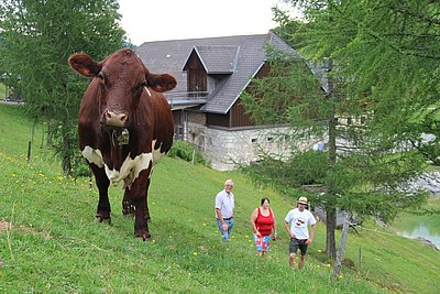 Sind bekannt für ihre guten Pinzgauer - Gabi und Erwin Stadler, Fuchsbauer in Weyer/NÖ.