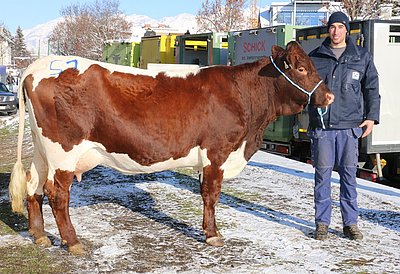 Meary (V.Leck) von Hubert Eder, Bachseit, Bruck
