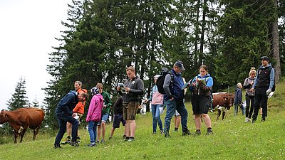 Wahrlich kein Kindergeburtstag - die Tierbeurteilung!