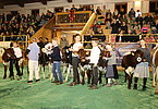IMG 3415