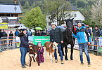 Familie Embacher, Rieger, Fusch