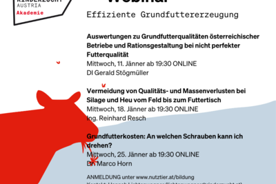 News Titelbild