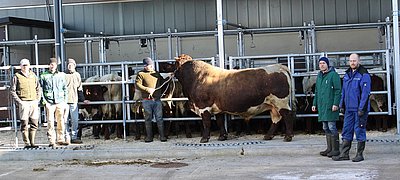 Eine Wucht! Der knapp 9-jährige Rolando zeigt sich nicht nur im bester Qualität, sondern auch mit Vorzeige-Charakter!