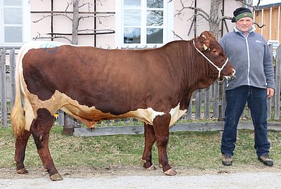 LEO (Loblia x Fidelio) von Anna u. Sebastian Reiter, Kurzgrub, Pfarrwerfen