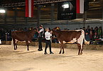 IMG 0530